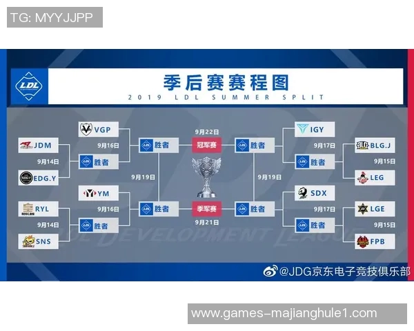 深入分析JDG战队进攻策略与战术布局的电竞比分解读